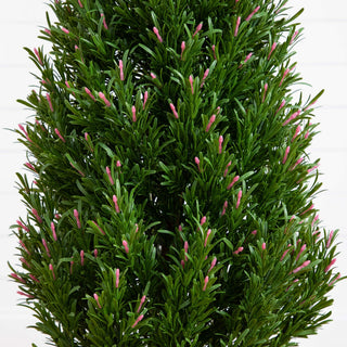Close-up of foliage on white background (alternate_white_close).