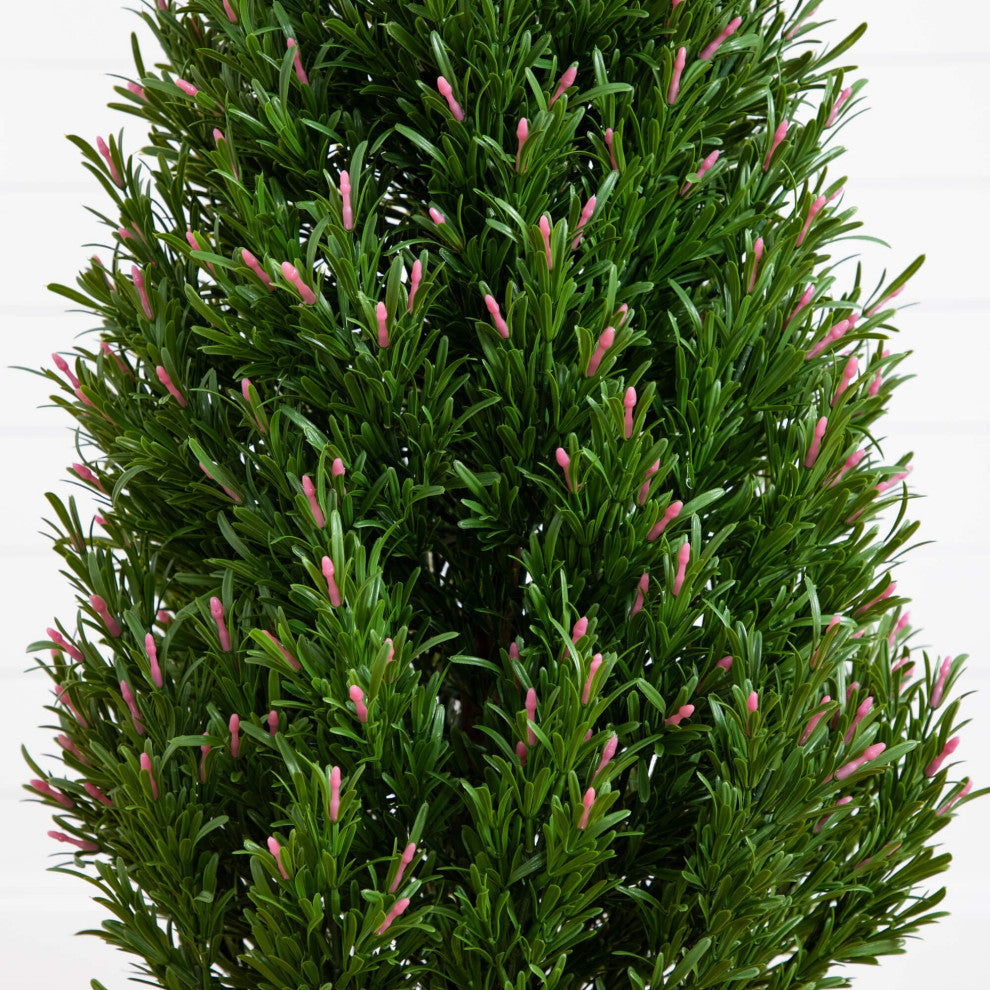 Close-up of foliage on white background (alternate_white_close).