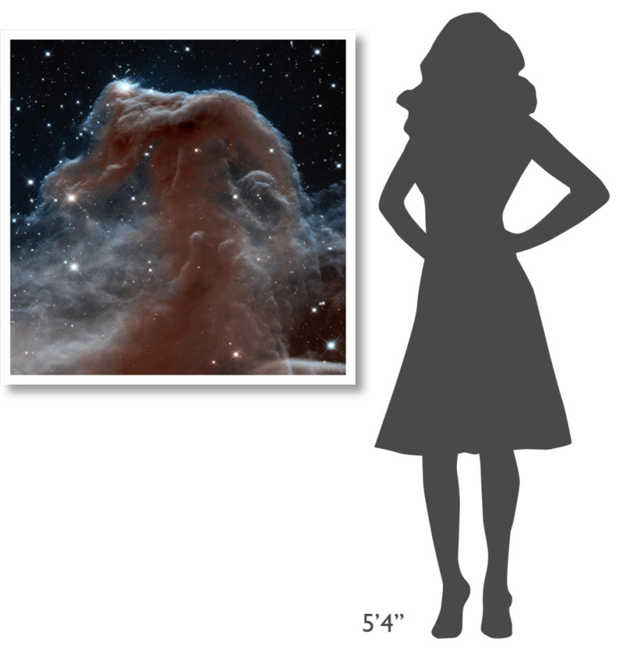 "Horsehead Nebula, Infrared View" Digital Paper Print by NASA, 38"x38"