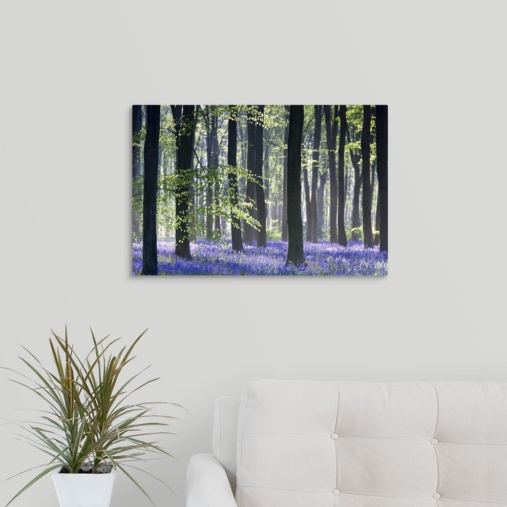 "Bluebell Vision" Wrapped Canvas Art Print, 24"x16"x1.5"