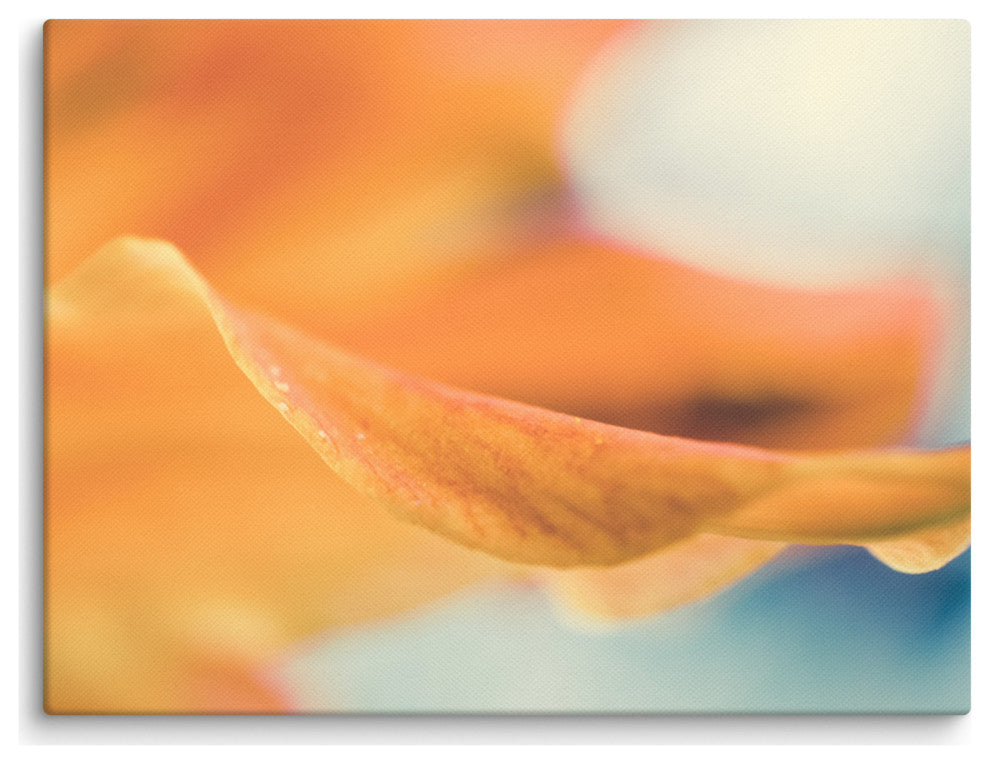 Serene Petals of Life Floral Nature Photo Canvas Wall Art Print, 12" X 16"
