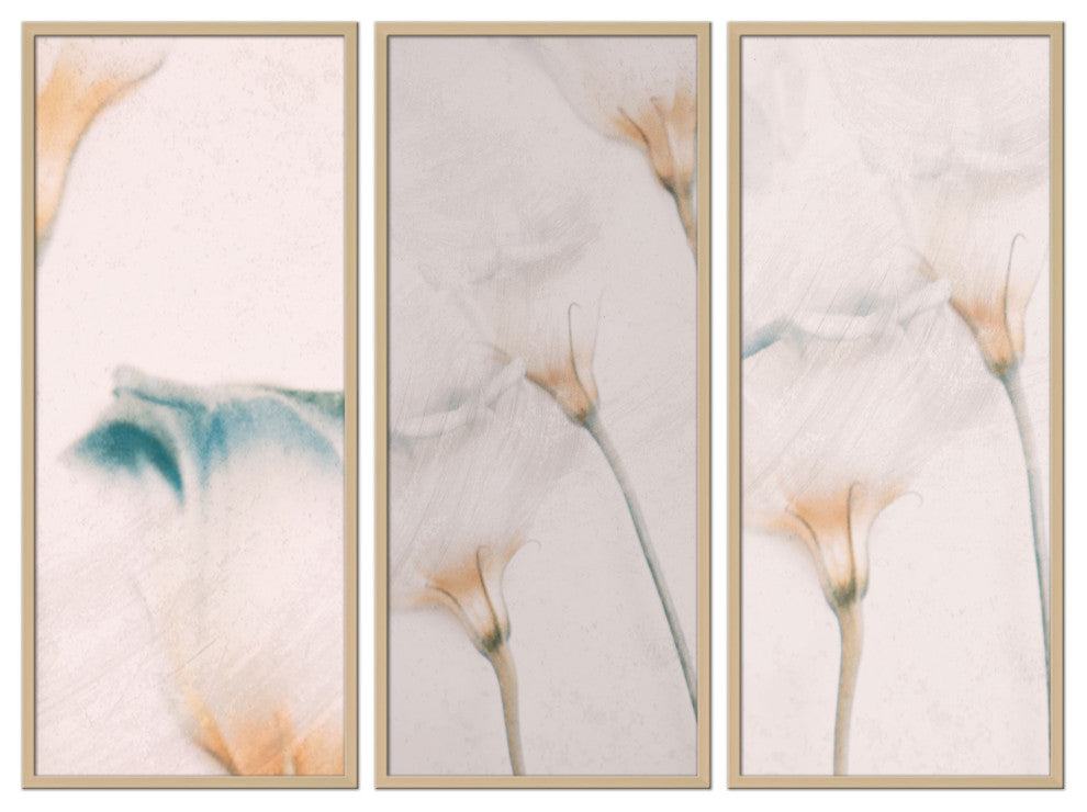 Elegance Framed 3-Piece Wall Art Set by Delphine Devos, 20"x40", Framed