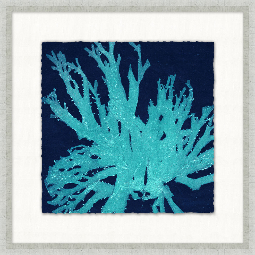 Heliopora Coerulea 8, Giclee Reproduction Artwork