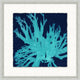 Heliopora Coerulea 8, Giclee Reproduction Artwork