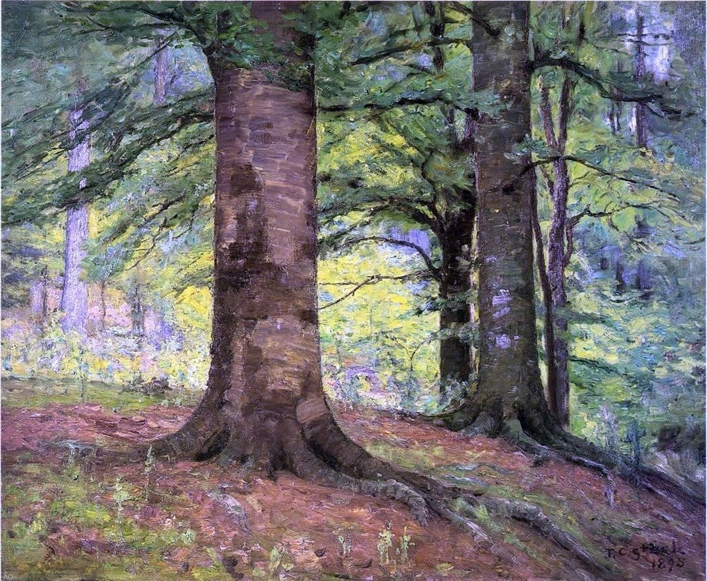 Theodore Clement Steele Beech Trees, 20"x25" Wall Decal Print
