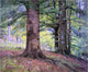 Theodore Clement Steele Beech Trees, 20"x25" Wall Decal Print