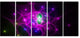 Pink Fractal Space Circles, Abstract Canvas Art Print, 60"x28", 5 Panels