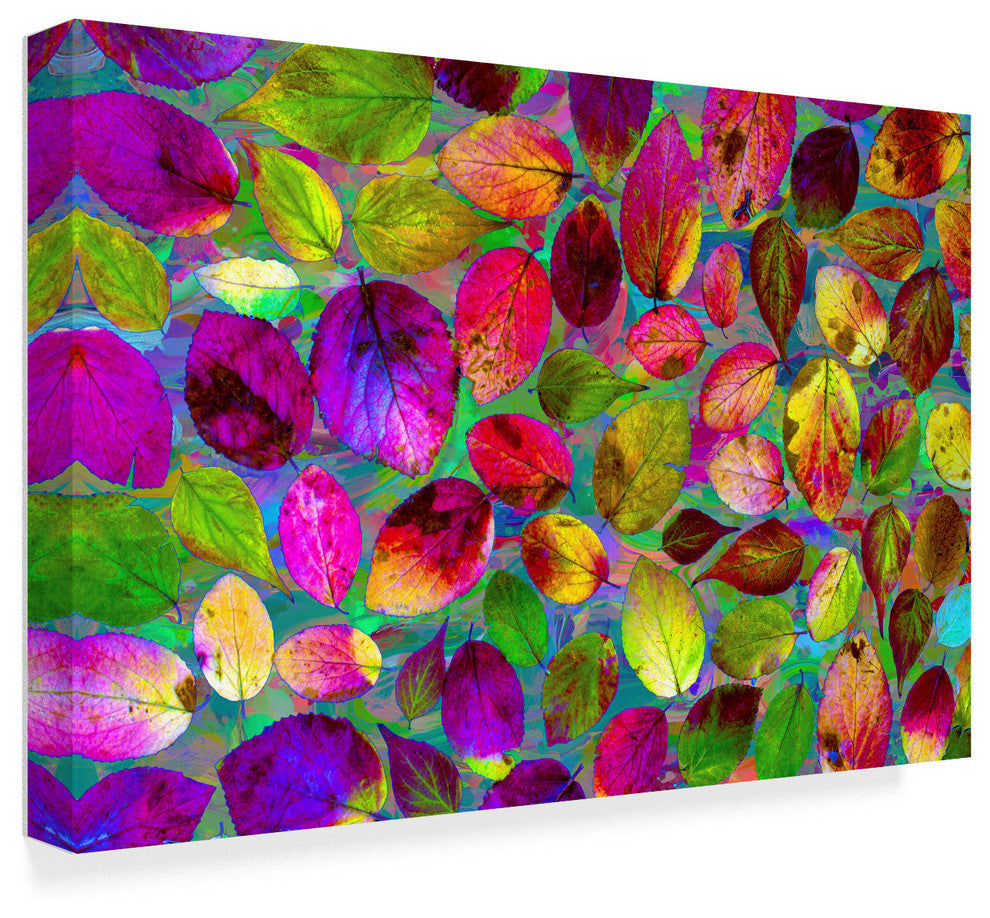 "Color Explosion 17" by Ata Alishahi, Canvas Art, 22"x32"