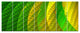 Layered Green Psychedelic Design, Abstract Canvas Art Print, 83"x32", 7 Panels