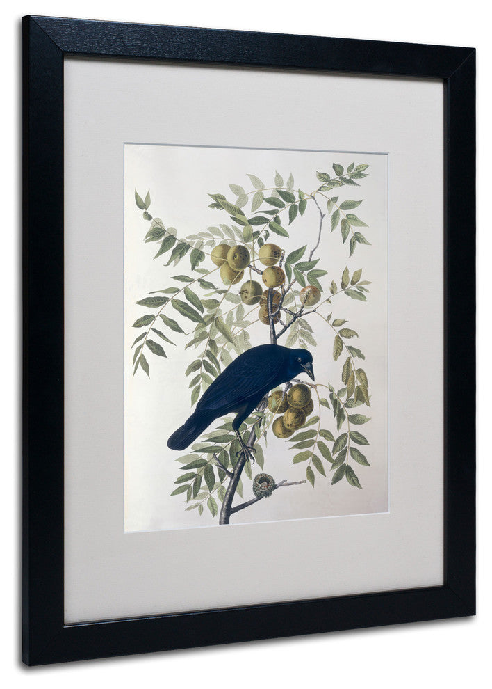 'American Crow' Matted Framed Canvas Art by John James Audubon