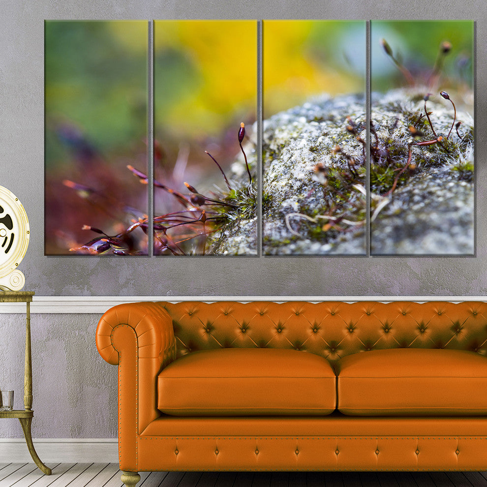 "Abstract Composition of Moss Flowers" Landscape Wall Art, 4 Panels, 48"x28"