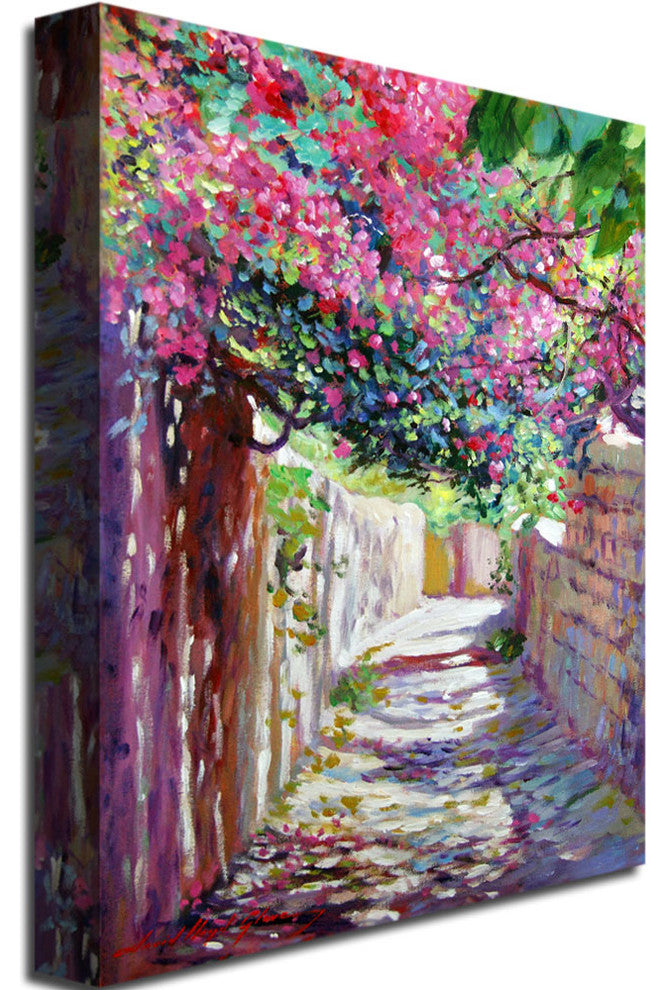 'Shady Lane Greece' Canvas Art by David Lloyd Glover