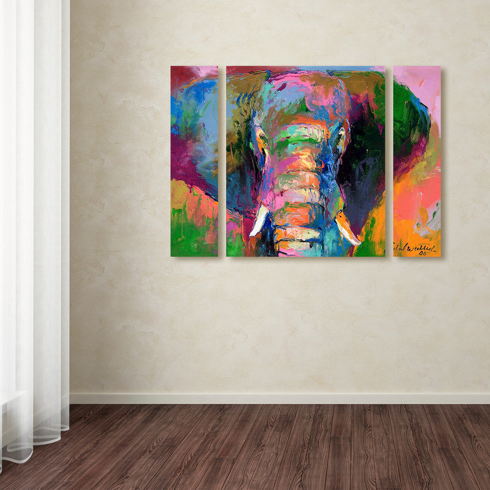 "Elephant 2" Multi-Panel Canvas Art Set by Richard Wallich