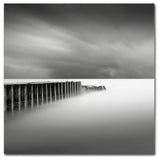 'Stormy' Canvas Art by Dave MacVicar