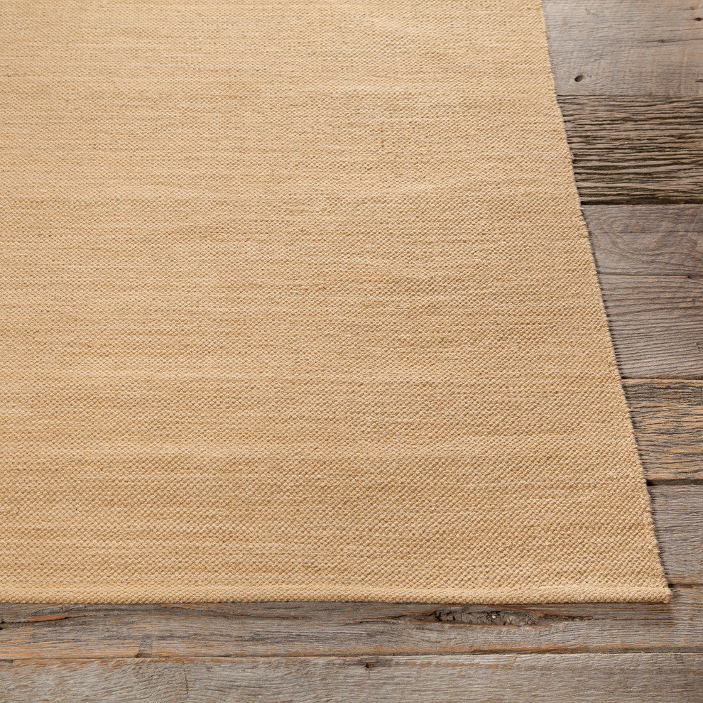 India Contemporary Area Rug, Beige, 2'x3' Rectangle