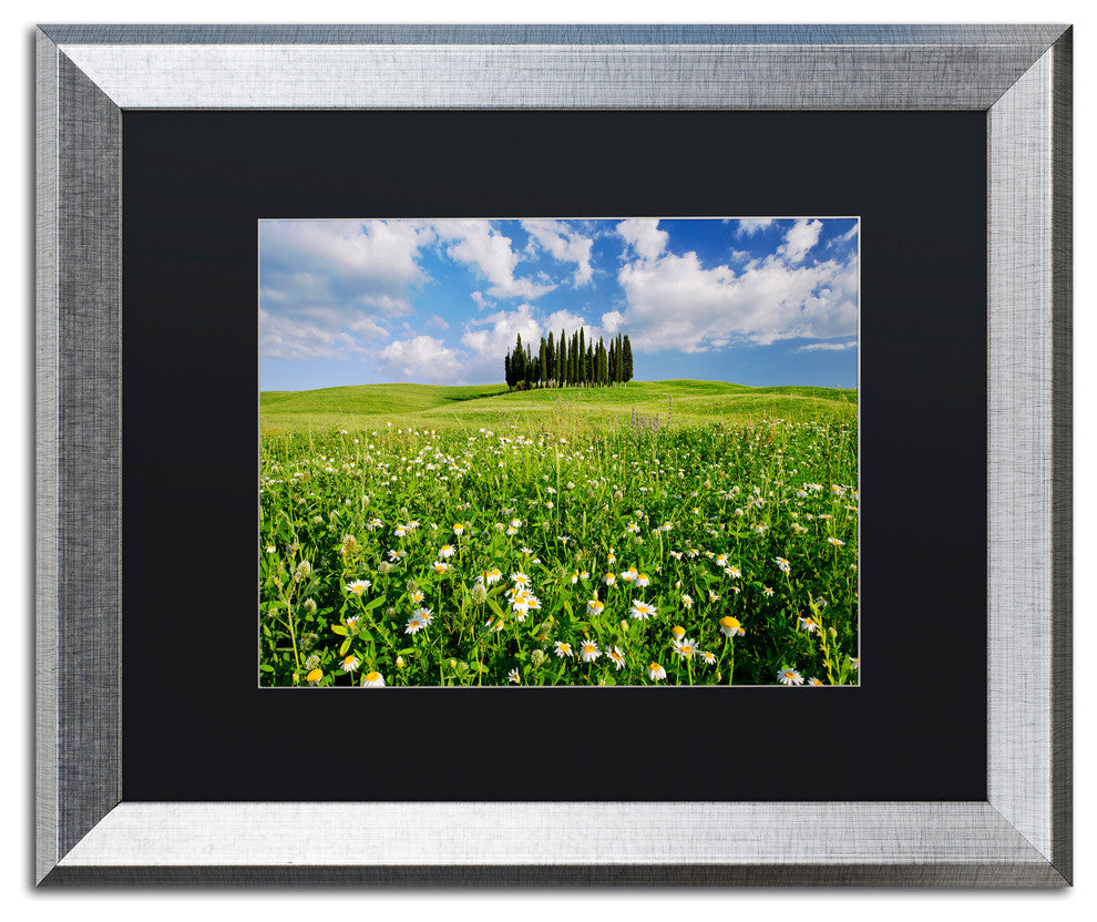 Michael Blanchette ''Cypress Hill'' Art, Silver Frame, Black Mat, 20x16