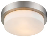 Golden Lighting Multi-Family Flush Mount, Pewter