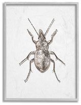 Textured Beetle Minimal Shadow Brown White Design,1pc, each 11 x 14