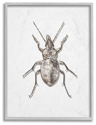 Textured Beetle Minimal Shadow Brown White Design,1pc, each 11 x 14