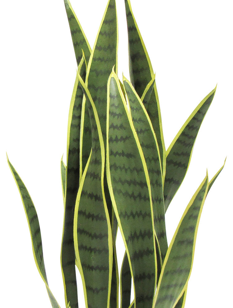26" Yellow Artificial Sansevieria Snake Plant, Black Pot