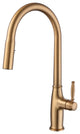 Dual-Function Pull Out Kitchen Faucet With Single Handle and Swivel Spout