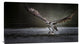 "Deadly Catch" Stretched Canvas Giclee by Phillip Chang, 40x22"