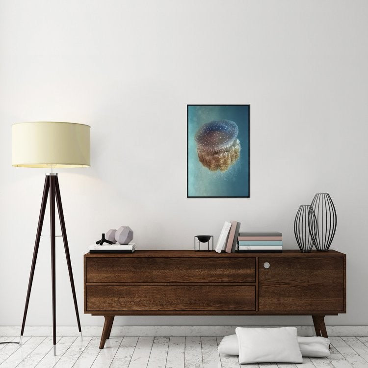 "Jellyfish Phylorhiza Punctata" Framed Canvas Giclee by Yaron Halevy, 21x31"
