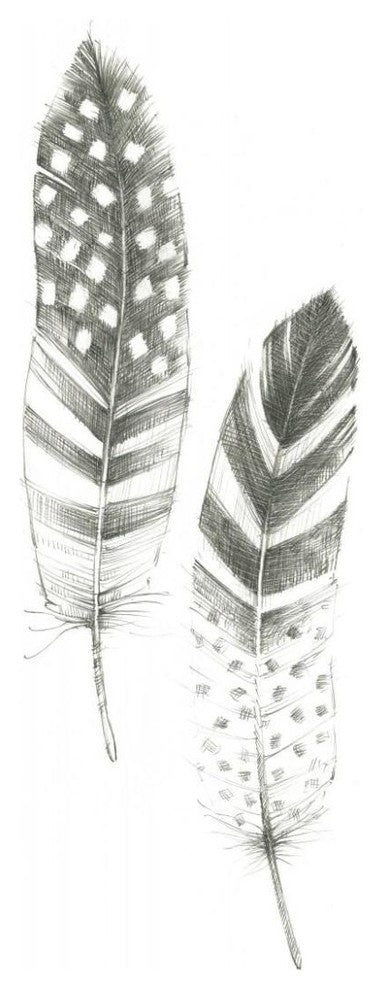 "Feather Sketches VIII" Digital Paper Print by Avery Tillmon, 32"x77"