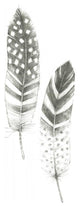 "Feather Sketches VIII" Digital Paper Print by Avery Tillmon, 32"x77"