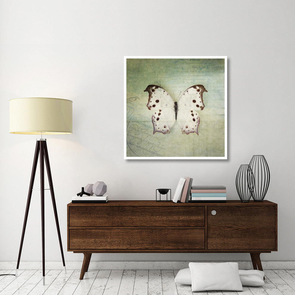 "French Butterfly IV" Digital Paper Print by Debra Van Swearingen, 42"x42"