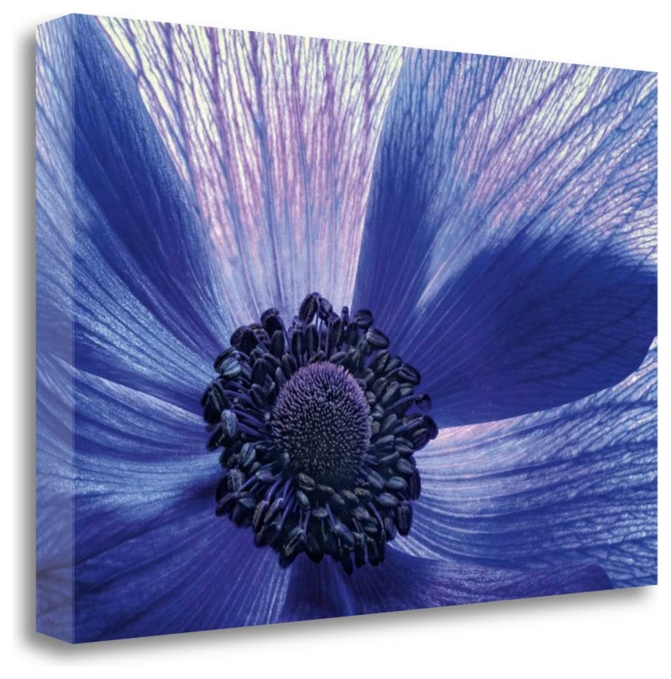 "Windsong" By Dawn Leblanc, Giclee Print on Gallery Wrap Canvas, Ready to Hang