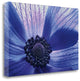 "Windsong" By Dawn Leblanc, Giclee Print on Gallery Wrap Canvas, Ready to Hang