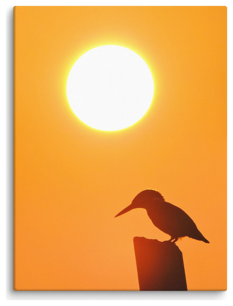 Kingfisher Bird Silhouette Sunset Animal Wildlife Photo Canvas Wall Art Prints, 18" X 24"