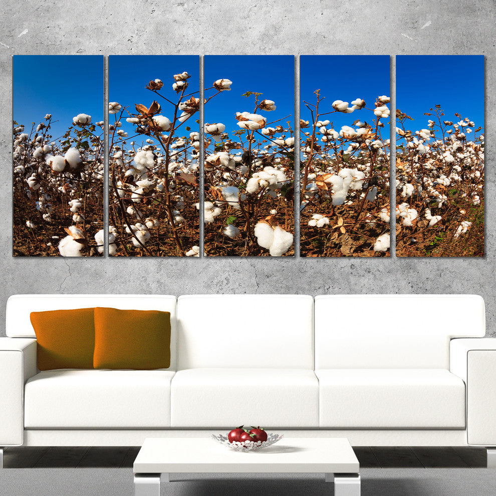 Blooming Alabama Cotton Field, Large Landscape Canvas Art, 60"x28", 5 Panels