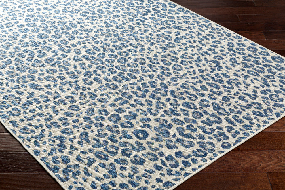 Surya Ravello RVL-2348 Indoor/Outdoor Area Rug
