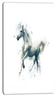 White Horse in Motion on White, Animal Canvas Wall Art, 16"x32"