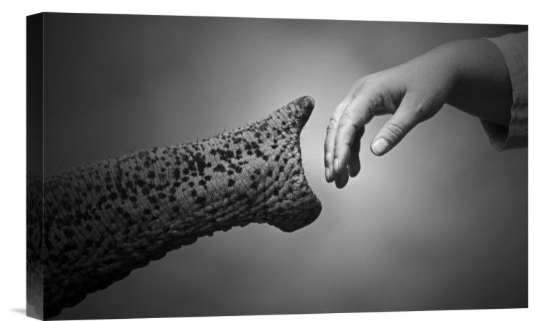 "Walking Together" Stretched Canvas Giclee by Antje Wenner-Braun, 16"x10"