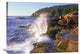 "Atlantic Coast Near Thunder Hole, Acadia National Park, Maine" Artwork