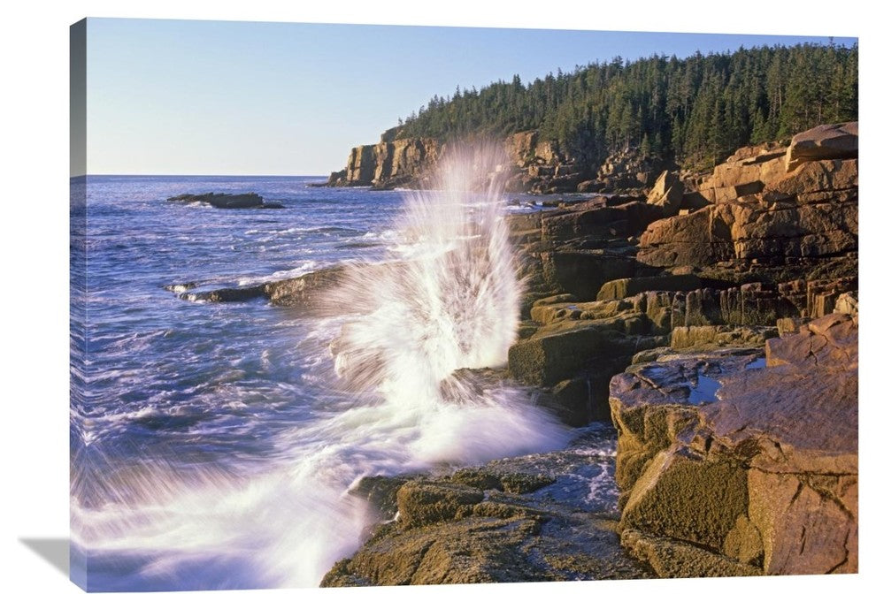 "Atlantic Coast Near Thunder Hole, Acadia National Park, Maine" Artwork