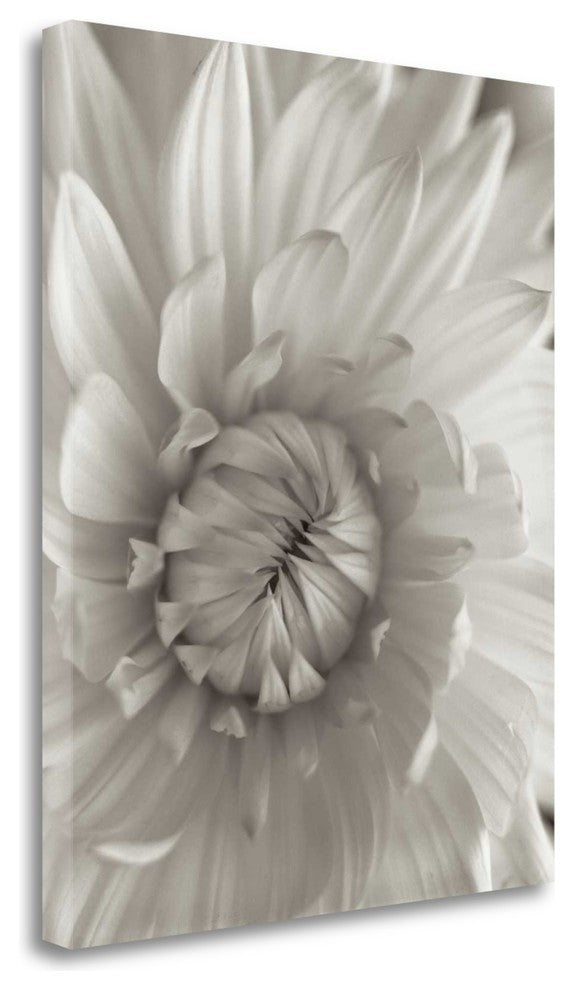 "Florison - 24" By Alan Blaustein, Giclee Print on Gallery Wrap Canvas