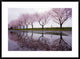 "Rain Of Spring" Framed Digital Print by Kouji Tomihisa, 38x27"