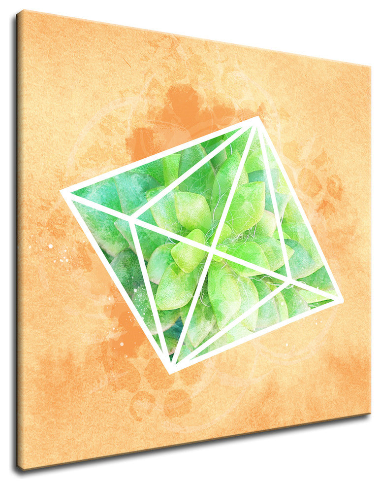 Ready2HangArt 'Crystal Terrarium' Wrapped Canvas Succulent Wall Art, 10"x10"