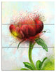 Cute Red Green Watercolor Flower, Floral Triptych Canvas Print, 28x36, 3 Panels