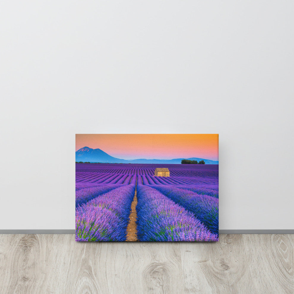 Blooming Lavender Field and Sunset Landscape Photo Canvas Prints, 12" X 16"