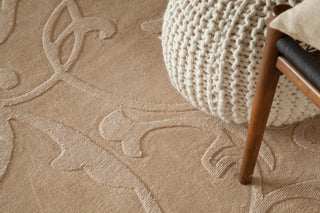 Jaipur Transitional Area Rug, Beige, 5'x7'