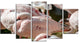 Pat of Flamingos Close Up, Abstract Canvas Art Print, 60"x32", 5 Panels