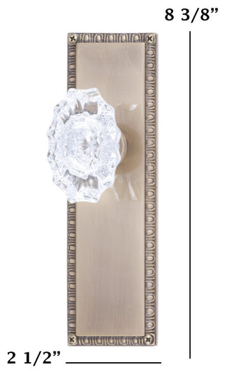 Egg & Dart Collection