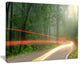 "Foggy Morning With Sun Rays" Landscape Photo Wall Art, 20"x12"