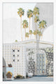 Palm Springs Impressions 3