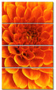 Orange Abstract Flower and Petals, Floral Canvas Art Print, 28"x48", 4 Panels